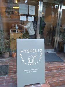 hyggelig