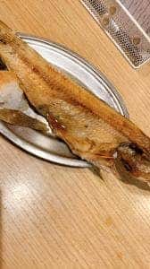 大衆酒場晩杯屋 亀戸東口店