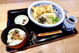 とり天ぶっかけと鴨釜うどん 麺匠 やしま