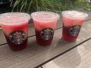 スターバックス コーヒー 東急プラザ 表参道原宿店