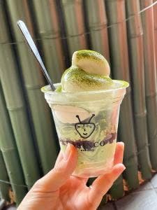 ARINCO 嵐山本店