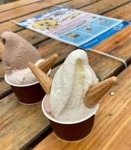 十勝野フロマージュ 道の駅なかさつない