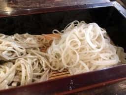 手打百藝中の森