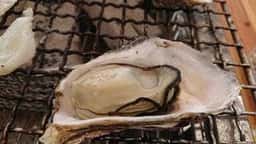 カキハウス マルハチ