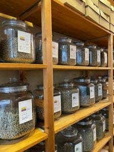 珈琲や 新中野本店