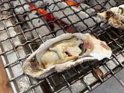 カキハウス マルハチ