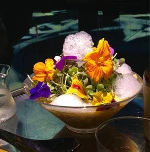 Vegan Ramen UZU Tokyo