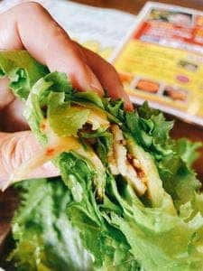 TonTonオンギー