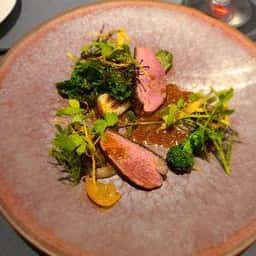 Prevenance h.Shizukai