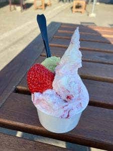 Gelateria Auguri