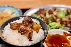 かしわ焼肉 とよ食堂