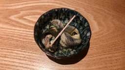 キガルニワショク 弾