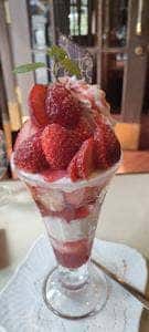 銀座 和蘭豆 銀座店