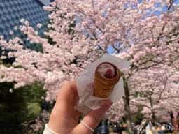 ベイクルーズストア 仙台 BOUL'ANGE