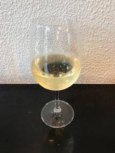 vivo daily stand 新橋