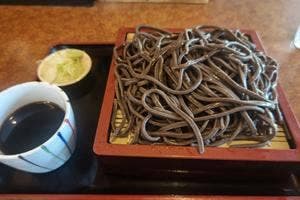 せんがく
