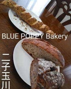 BLUE POPPY Bakery