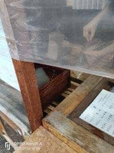 ところてん てん屋