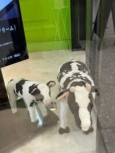 beillevaire 虎ノ門ヒルズビジネスタワー店