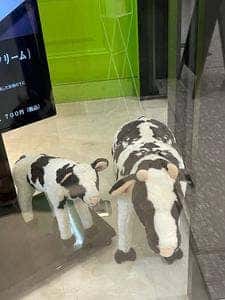 beillevaire 虎ノ門ヒルズビジネスタワー店