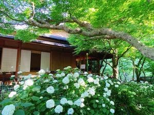 かふぇ楊梅亭