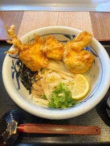 とり天ぶっかけと鴨釜うどん 麺匠 やしま
