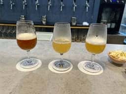 Brewin'bar & Nature 銀座醸造所