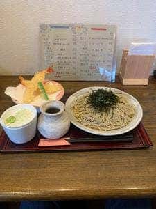 やま桜