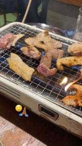 九条トリコ