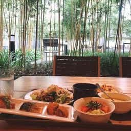 メインダイニング アンサンブル