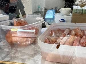 カネフク浜形水産