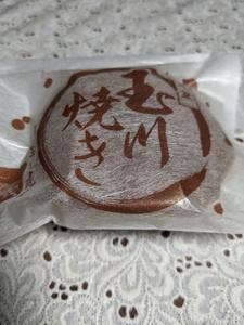玉川虎屋 金井店