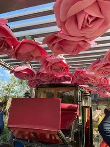 オーベルジュ フレンチの森 Prince Etoile