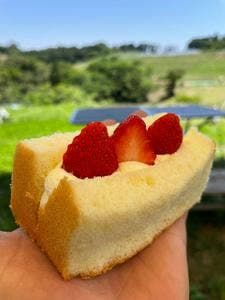クルックフィールズ シフォン
