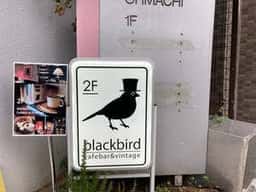 blackbird cafebar&vintage