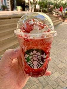 スターバックス コーヒー 代官山 蔦屋書店