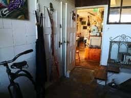 cacico