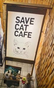 SAVE CAT CAFE