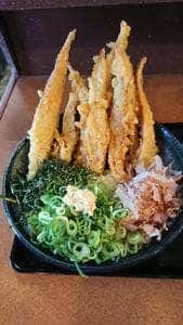 うどん白木商店