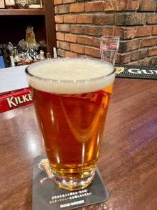 CRAFT BEER&PUB THE HARP