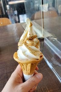Fresh Plus 石川PA下り
