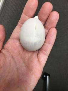 銀座たまや 本店