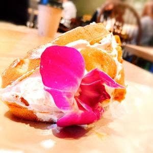 Merengue 横浜赤レンガ倉庫店