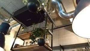 cafe dining giraffe