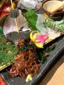 上野イカセンター