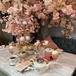 HAUTE COUTURE CAFE オートクチュールカフェ