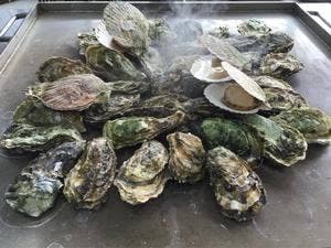 かき小屋 唐桑番屋