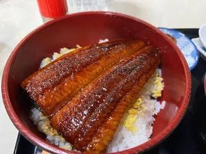 めし食い処 福よし食堂