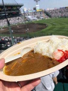甲子園カレー