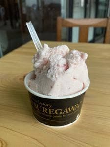 Gelateria KITS 本店